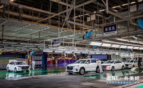 春涌綠城，潮趣煥新 東風日產鄭州春季嘉年華燃情啟幕